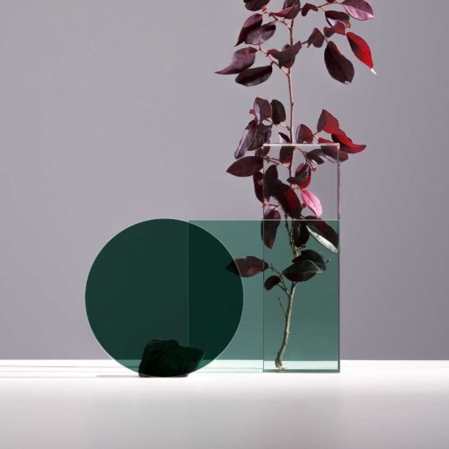 Artistic Plant Arrangement